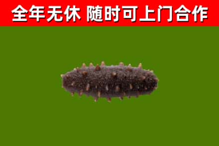 卫东区烟酒回收干海参.jpg